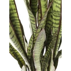 Plante Décorative Sansewieria 155Cm