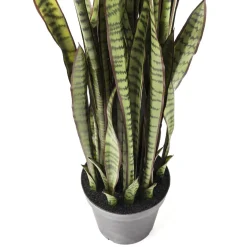 Plante Décorative Sansewieria 155Cm