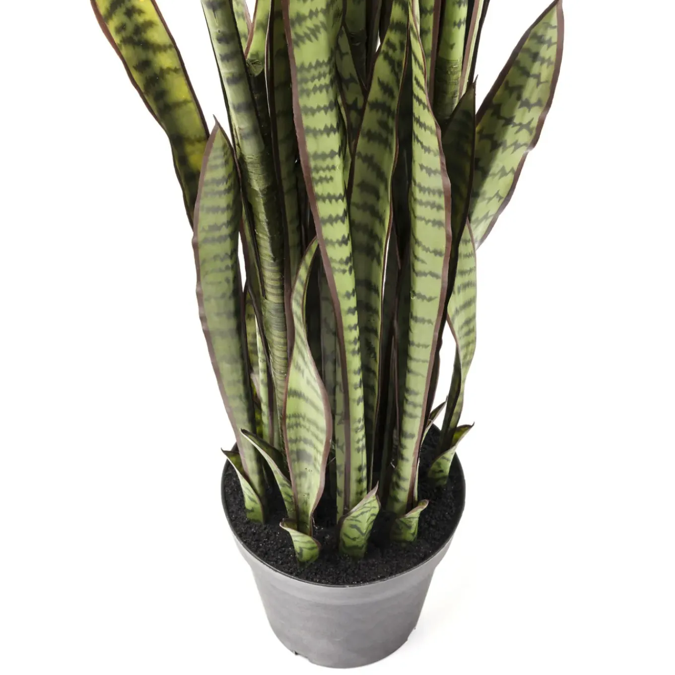 Plante Décorative Sansewieria 155Cm