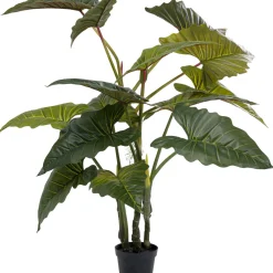 Plante Décorative Taro 180