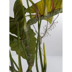 Plante Décorative Taro 180