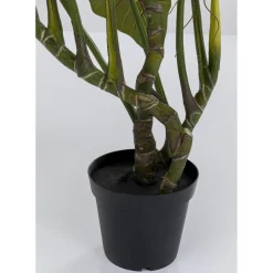 Plante Décorative Taro 180