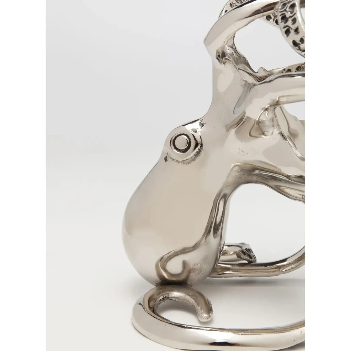 Porte-Bouteilles Octopus