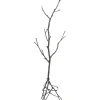 Portemanteau Tree Branch 183