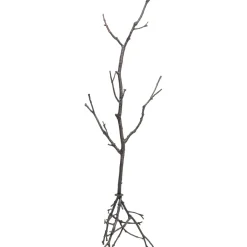 Portemanteau Tree Branch 183