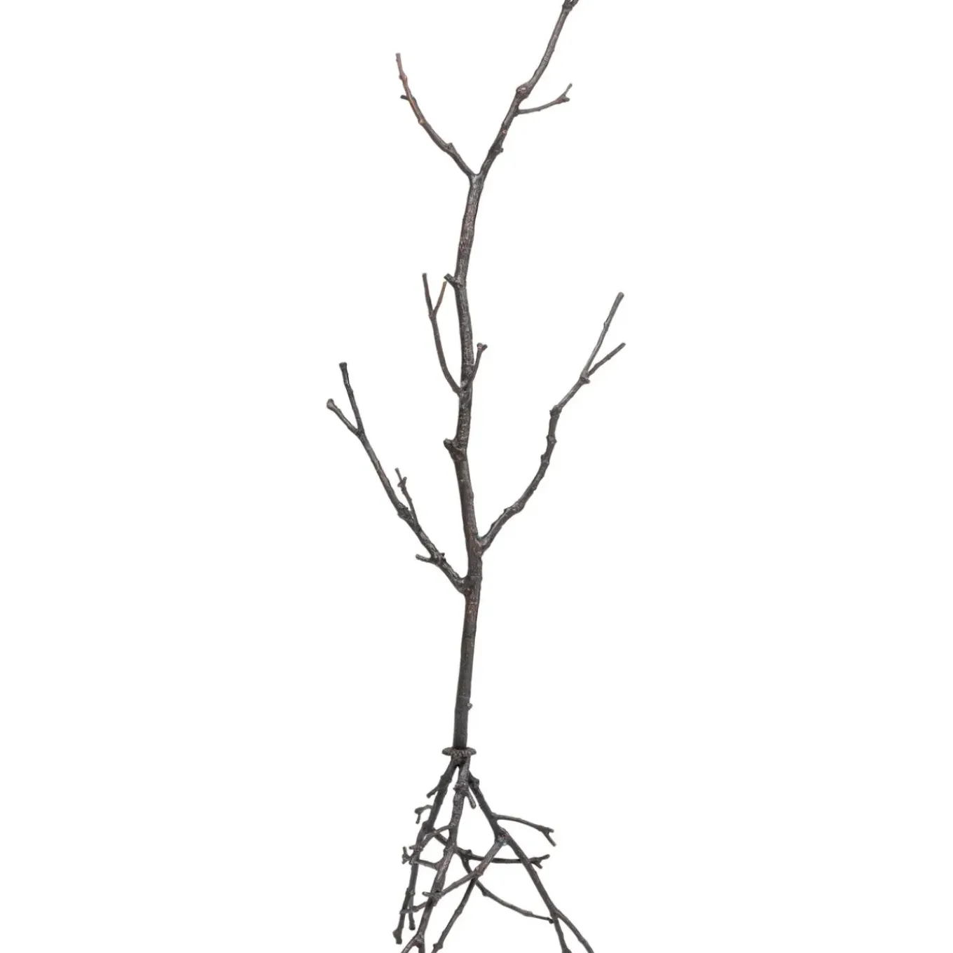 Portemanteau Tree Branch 183