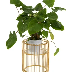 Porte-Plantes Wire Dore 44Cm