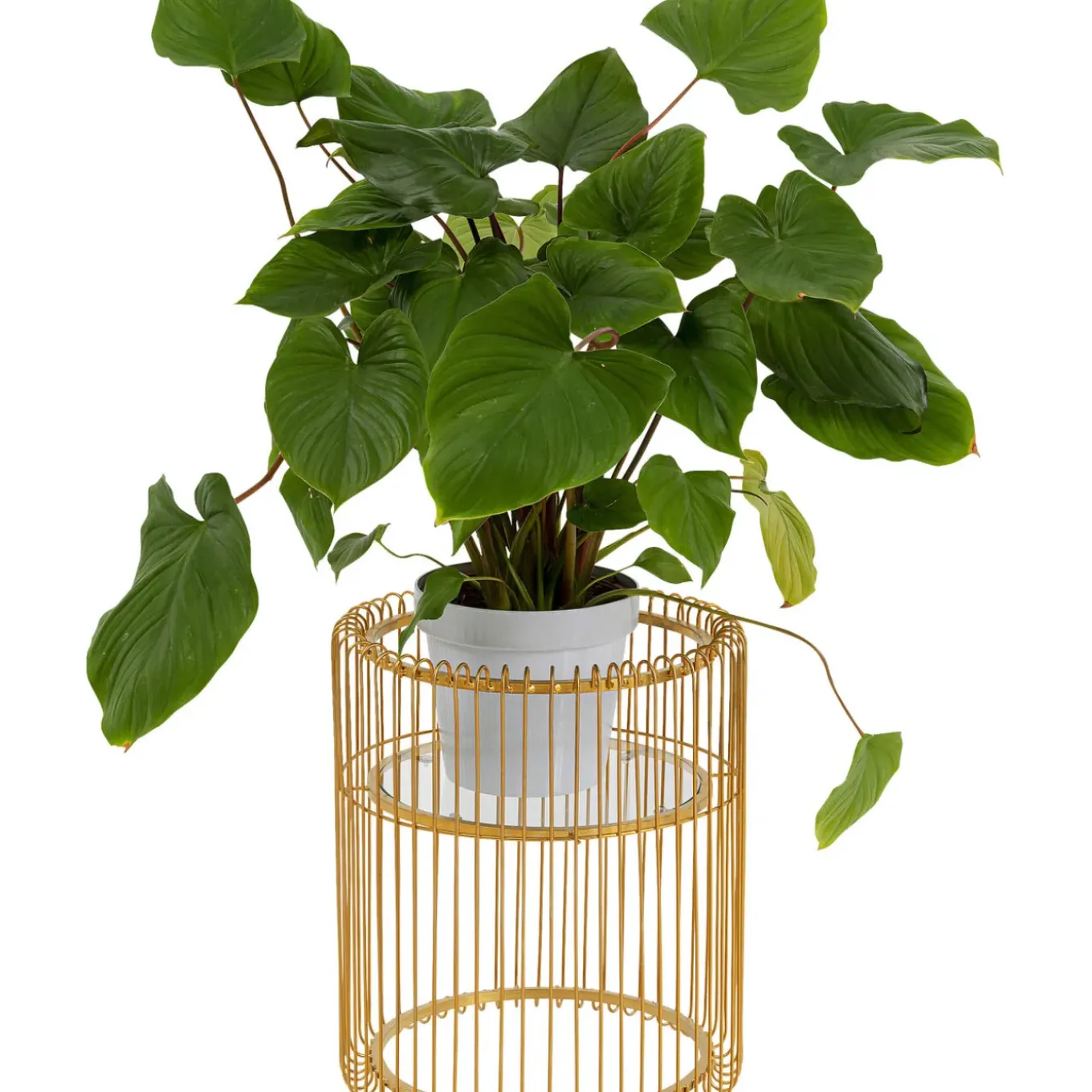 Porte-Plantes Wire Dore 44Cm