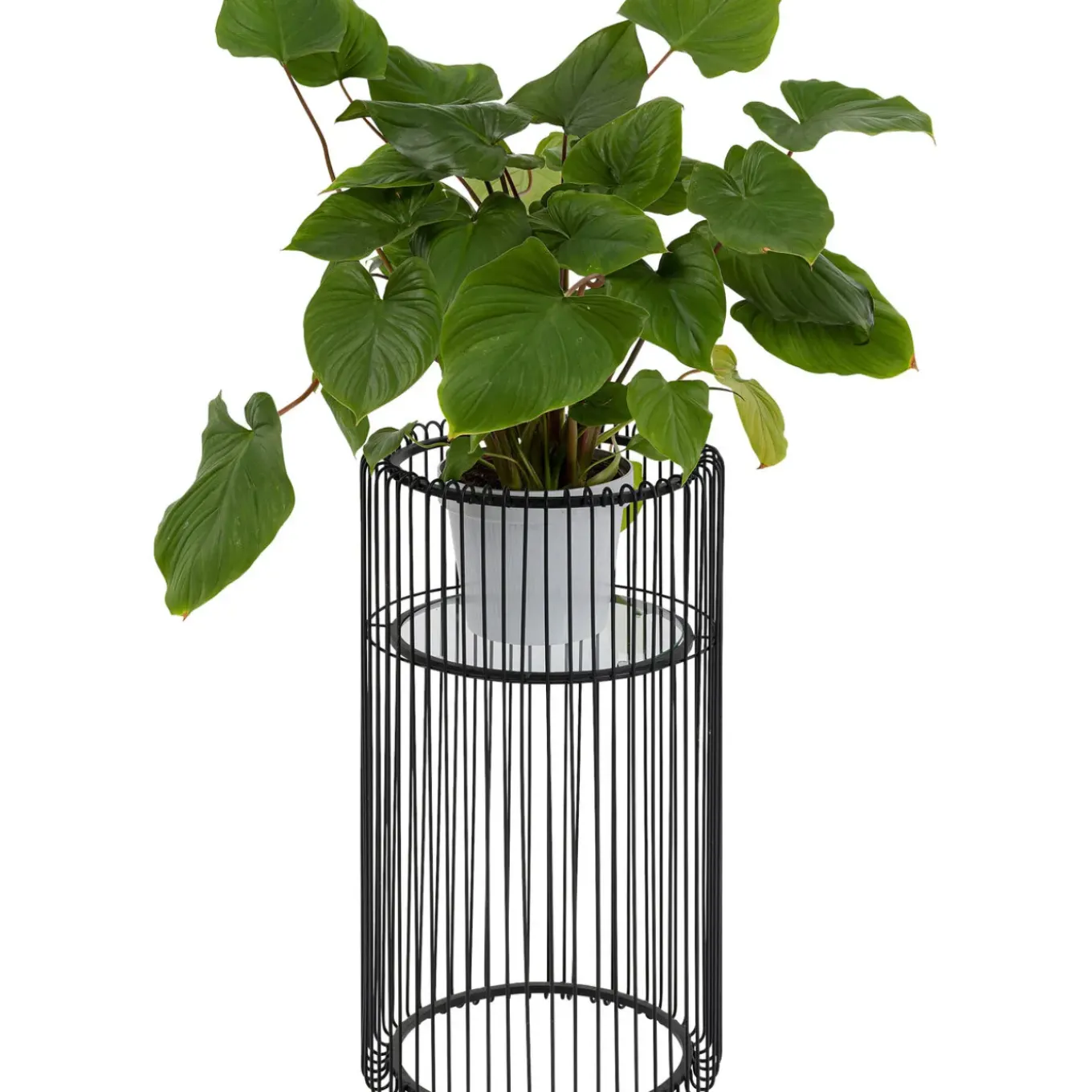 Porte-Plantes Wire Noir 70Cm