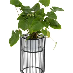Porte-Plantes Wire Noir 57Cm