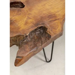 Table Basse Aspen Nature 100X60