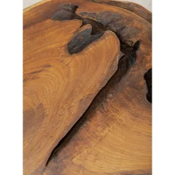 Table Basse Aspen Nature 100X60