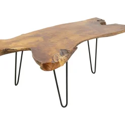 Table Basse Aspen Nature 100X60