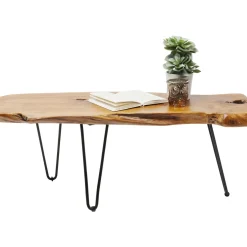 Table Basse Aspen Nature 106X41