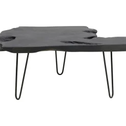 Table Basse Aspen Noir 100X40