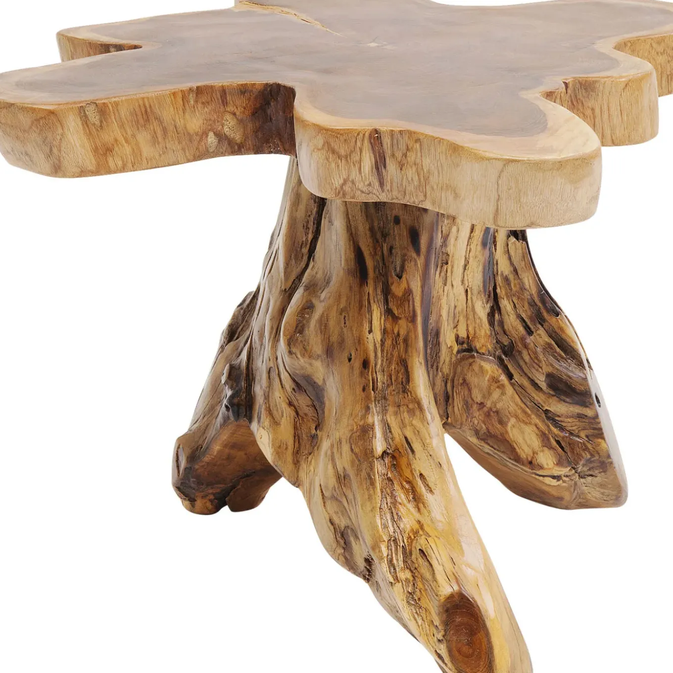 Table D Appoint Tree Gm Nature