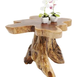 Table D Appoint Tree Gm Nature