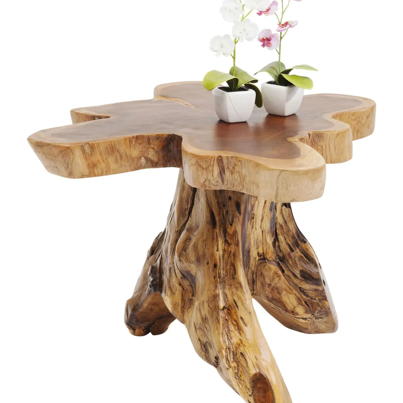 Table D Appoint Tree Gm Nature
