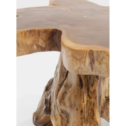 Table D Appoint Tree Gm Nature