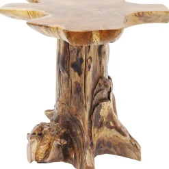 Table D Appoint Tree Pm Nature