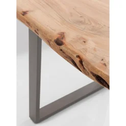 Table Harmony Acier Brut 180X90Cm