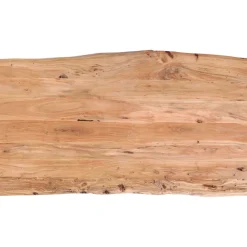 Table Harmony Acier Brut 200X100Cm