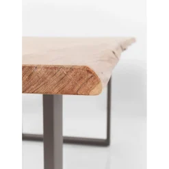 Table Harmony Acier Brut 200X100Cm