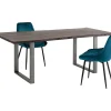 Table Harmony Fonce Acier Brut 200X100