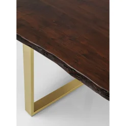 Table Harmony Fonce Acier Brut 200X100
