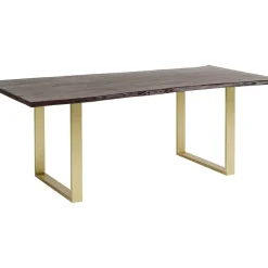 Table Harmony Fonce Acier Brut 200X100