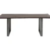 Table Harmony Fonce Acier Brut 160X80