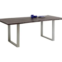 Table Harmony Fonce Argente 200X100