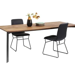 Table Phoenix 220X100Cm