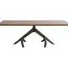 Table Roots Dark 220X100Cm