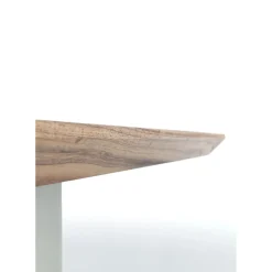 Table Symphony Argente 200X100