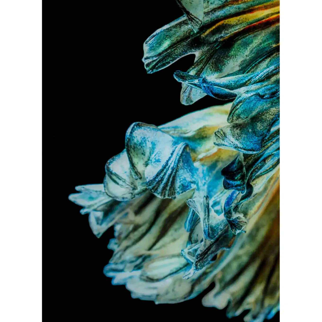 Tableau En Verre Aqua Queen Fish 100X100Cm