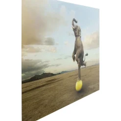 Tableau En Verre Balance Elefant 150X100Cm