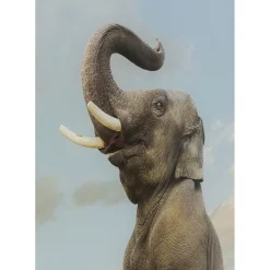 Tableau En Verre Balance Elefant 150X100Cm