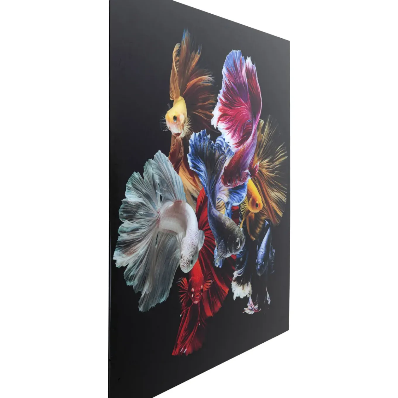 Tableau En Verre Colorful Swarm Fish 120X120Cm