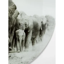 Tableau En Verre Elephant Walk O120Cm