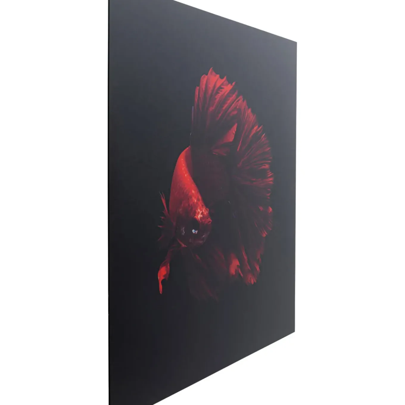 Tableau En Verre Fire Fish 100X100Cm