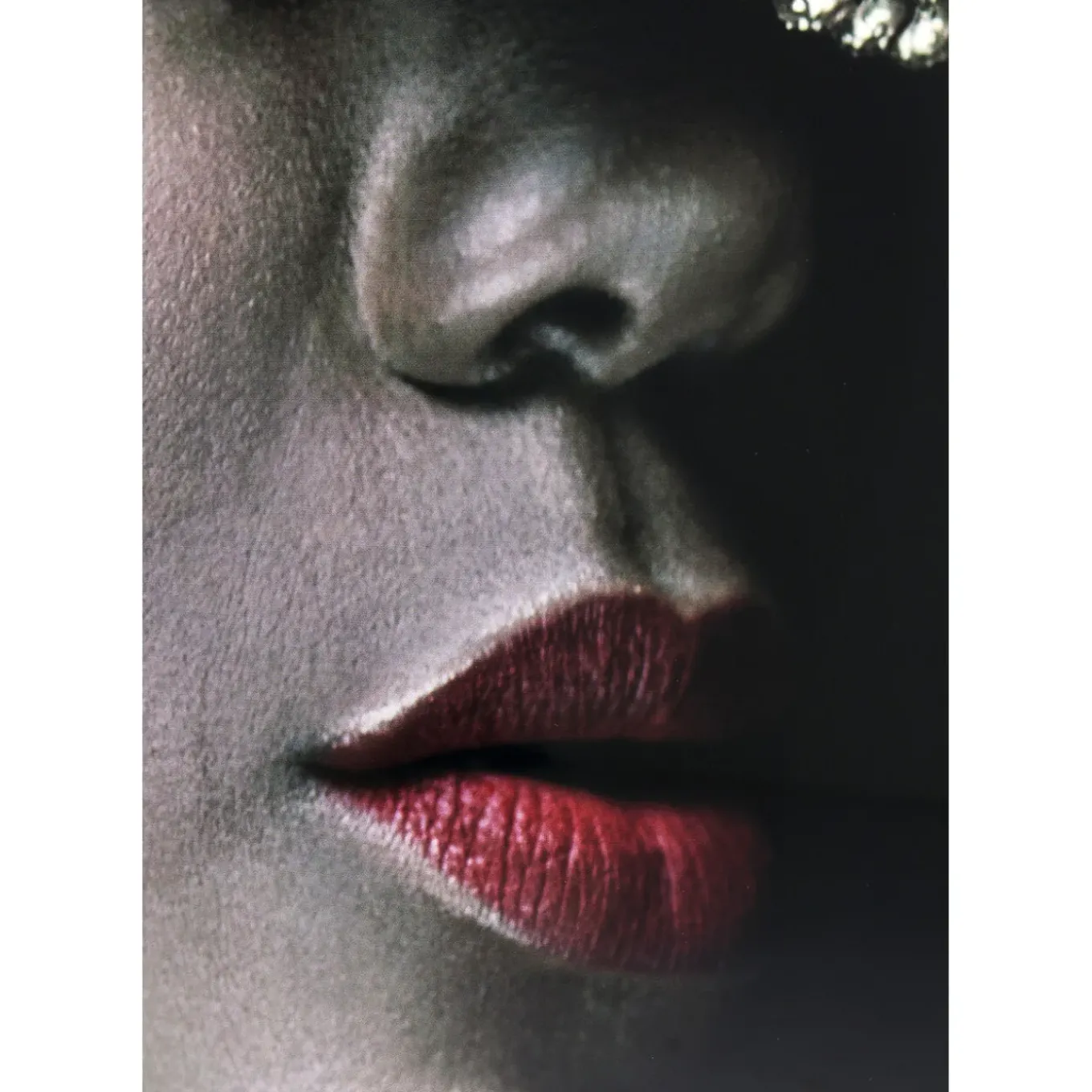 Tableau En Verre Foxy Lady 120X120Cm