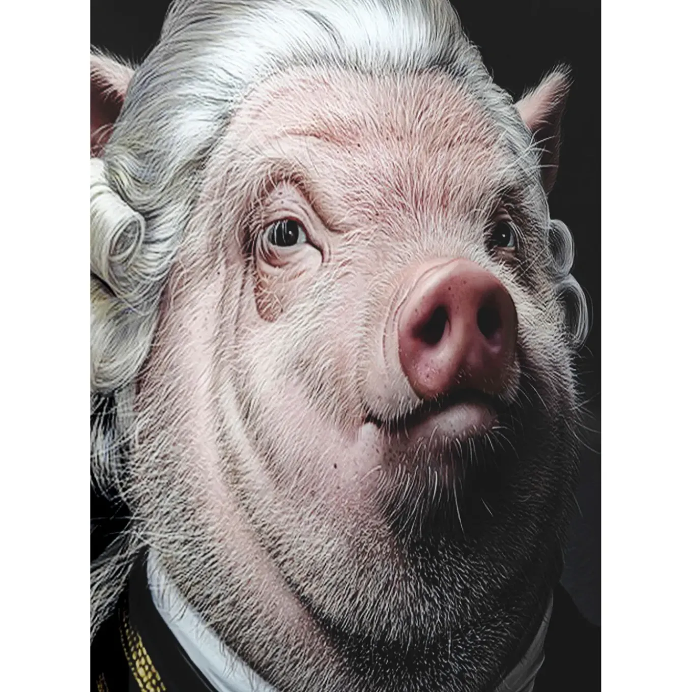 Tableau En Verre Gentleman Pig 120X120
