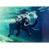 Tableau En Verre Swimming Elephant 180X120