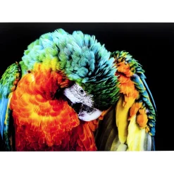 Tableau En Verre Tropical Parrot 120X80Cm