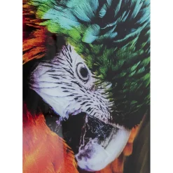 Tableau En Verre Tropical Parrot 120X80Cm
