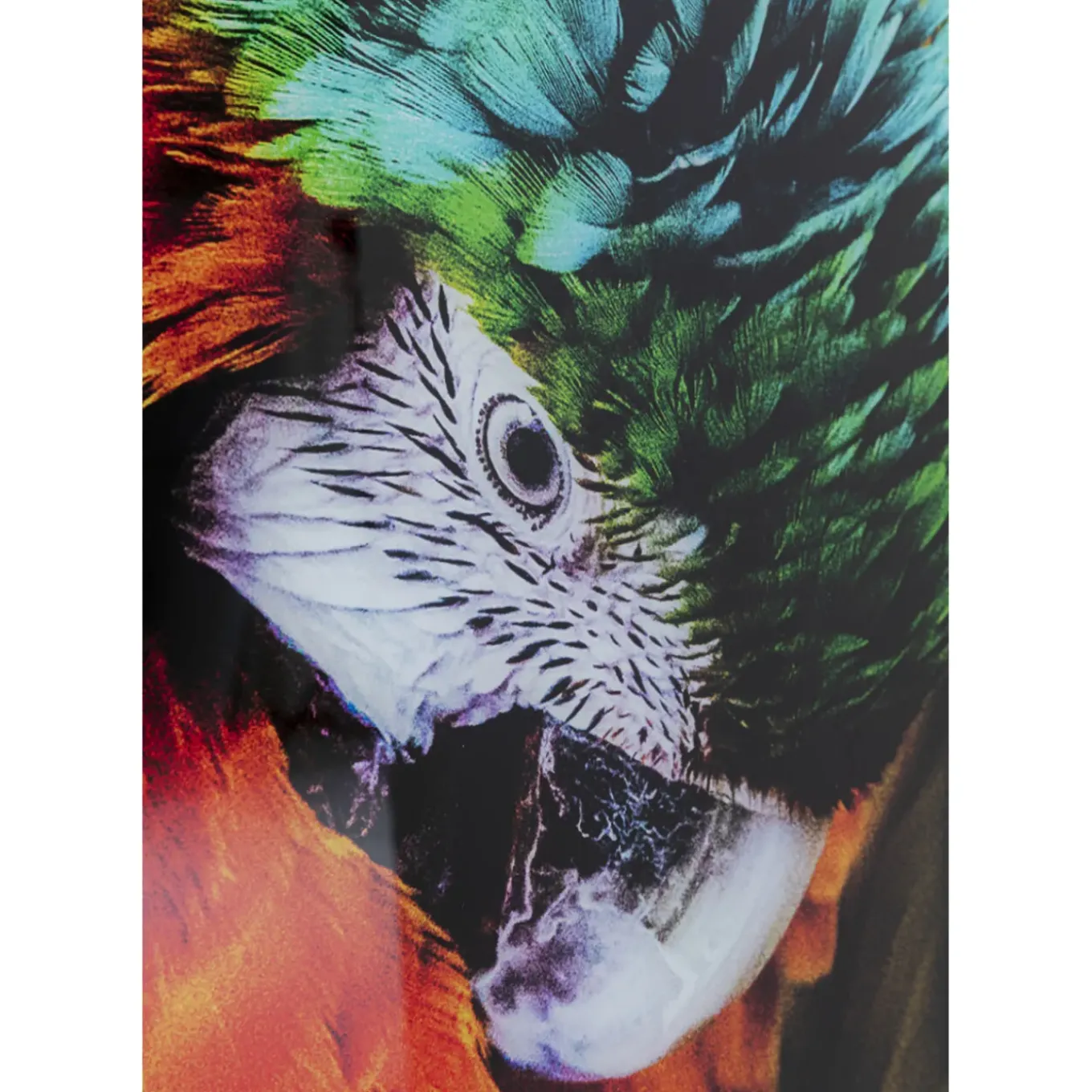 Tableau En Verre Tropical Parrot 120X80Cm
