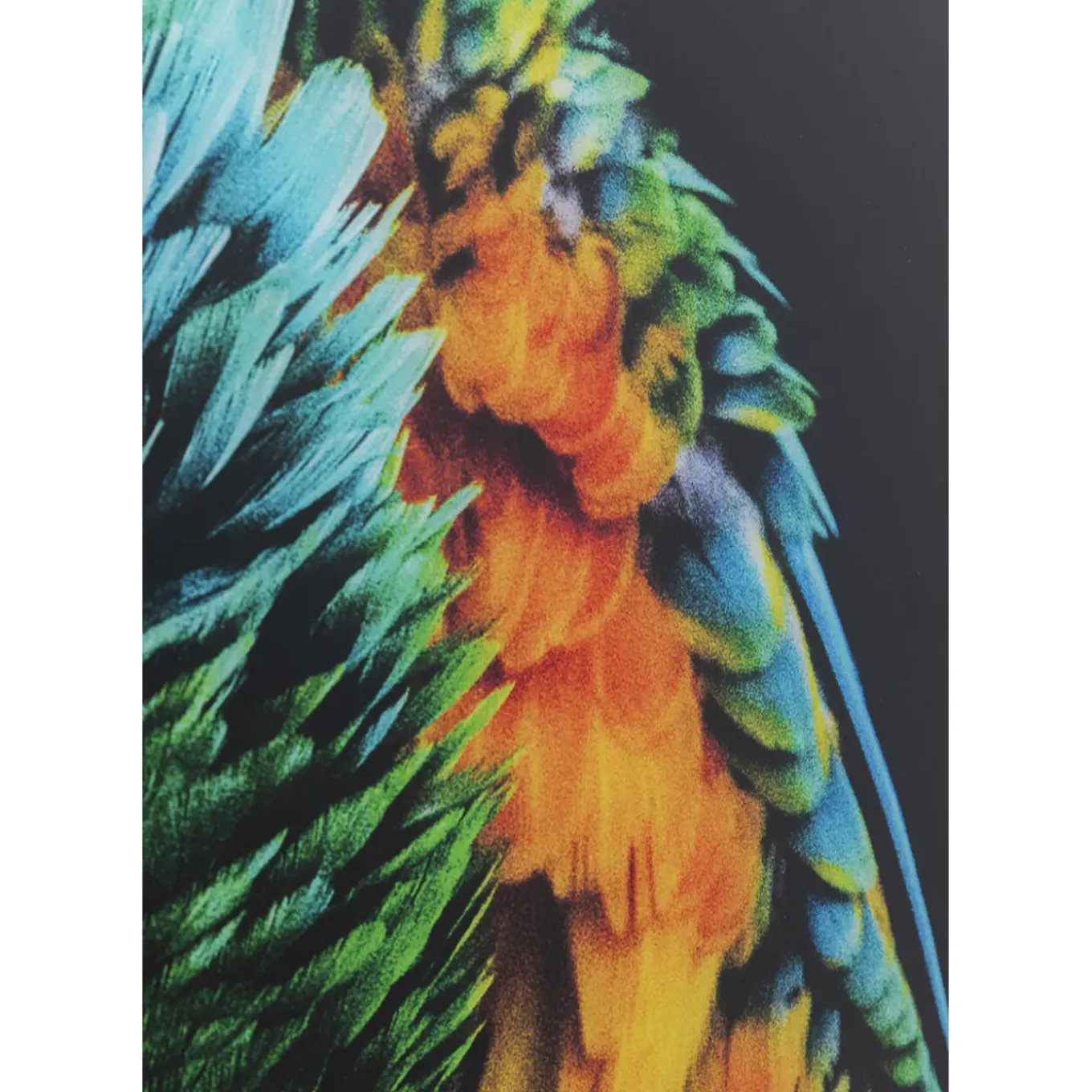 Tableau En Verre Tropical Parrot 120X80Cm