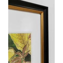 Tableau Encadre Birds In Jungle 80X100Cm