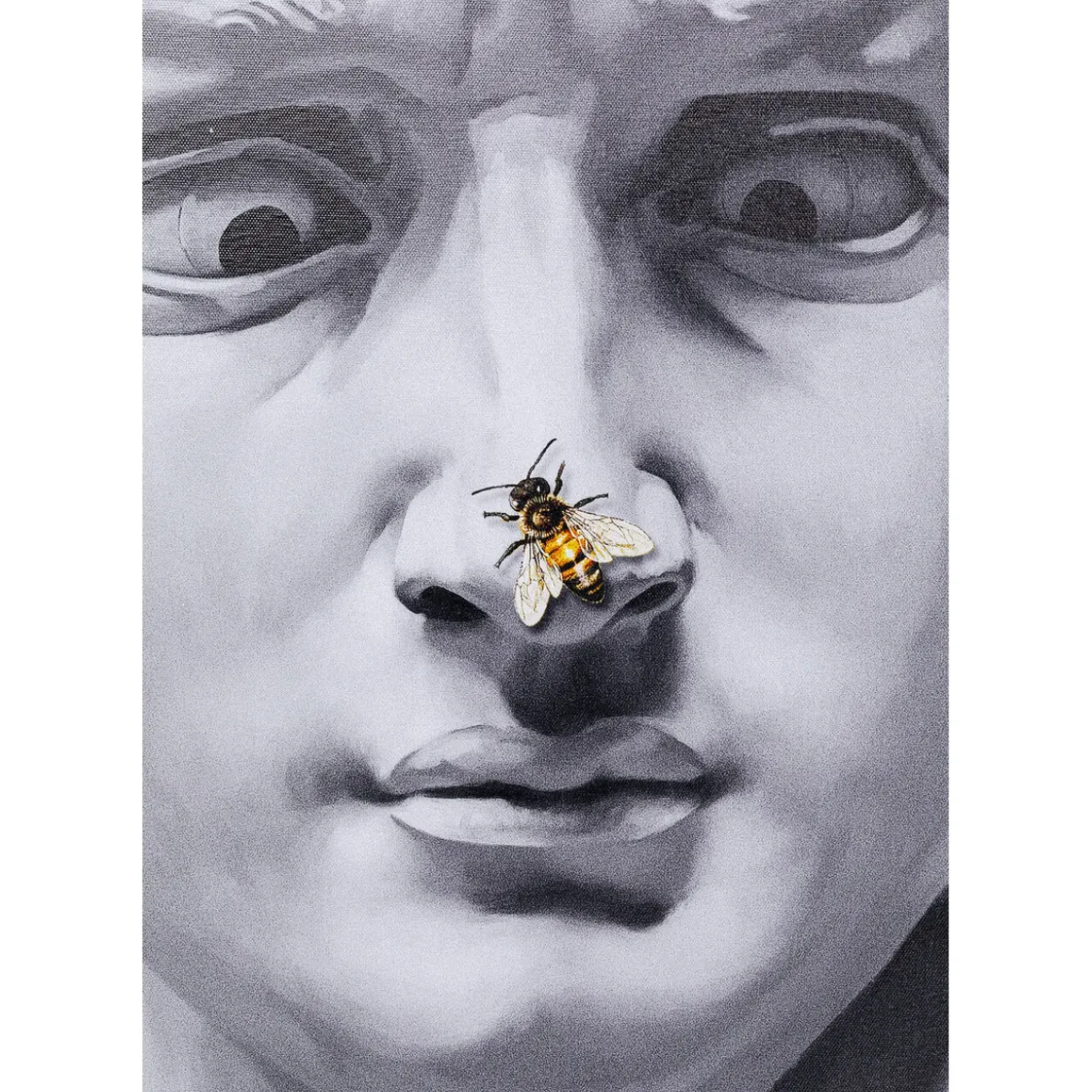 Tableau Encadre Statue 100X125Cm